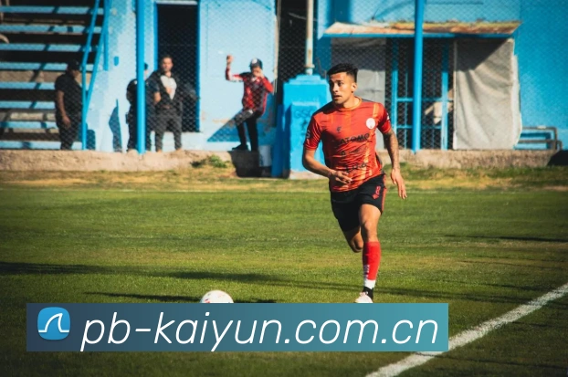 开云·体育(kaiyun)官方网站_KAIYUNSPORTS 多端同步
